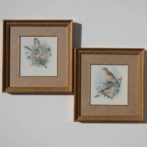 JG Keuleman's Bird Lithographs Siberian Rose Mongolian Desert Finch Vintage Art